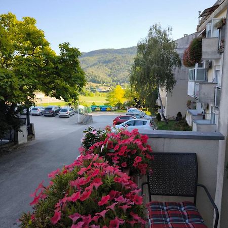 Apartman Snjeska Buzet Exteriér fotografie