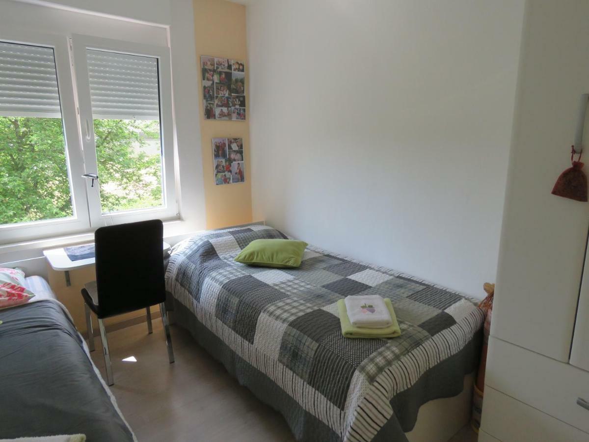 Apartman Snjeska Buzet Exteriér fotografie